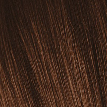 Крем-краска Светлый коричневый медный натуральный 5-70/n / Schwarzkopf Igora Royal Absolutes, 60 мл