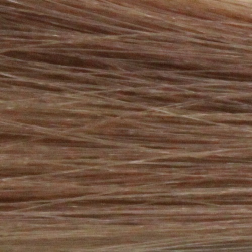 Крем-краска для волос с маслом монои 8.0 Светлый блондин / Tefia, 60 мл