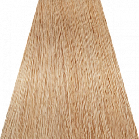 Крем-краска NA 10.31 Ультра светлый блондин золотисто-пепельный / Soft Touch Concept , 100 мл