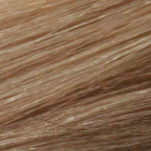 Крем-краска для волос с маслом монои Т9.31 тонер Маренго / Tefia, 60 мл 