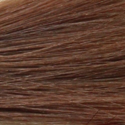 Крем-краска для волос с маслом монои 8.14 Светлый блондин бронза / Tefia, 60 мл