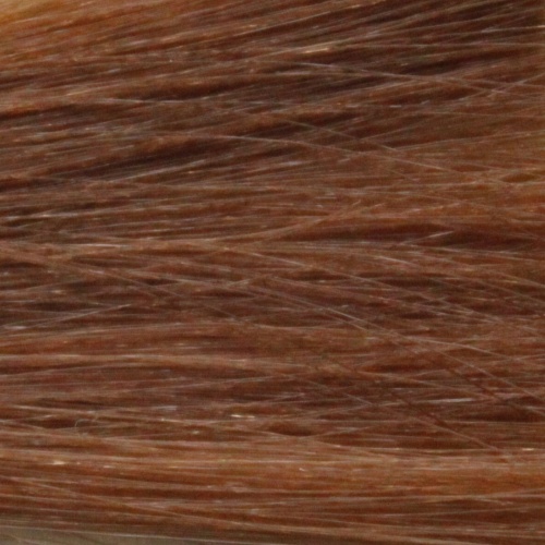 Крем-краска для волос с маслом монои 7.33 Блондин золотистый интенсивный / Tefia, 60 мл